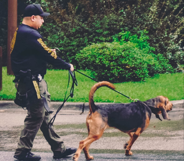 Police bloodhound store